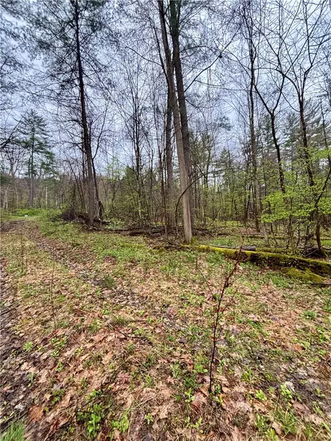2093 Scott Rd, Erwin, NY 14858