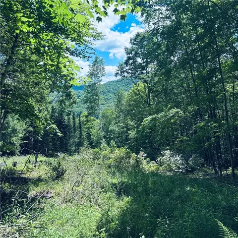 State Highway 30, Andes, NY 13731