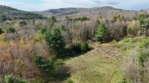 9155 Smith Rd, Lindley, NY 14858 photo 27