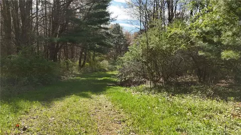 9155 Smith Rd, Lindley, NY 14858 photo 29