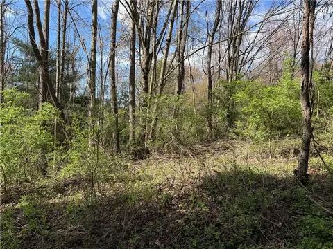 9155 Smith Rd, Lindley, NY 14858 photo 5