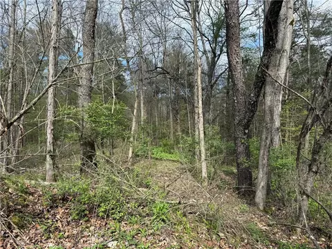 9155 Smith Rd, Lindley, NY 14858 photo 9