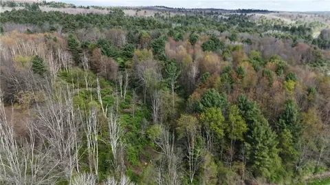 9155 Smith Rd, Lindley, NY 14858