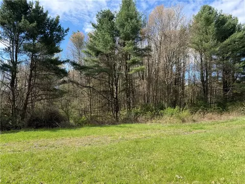 9155 Smith Rd, Lindley, NY 14858 photo 8