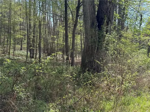 9155 Smith Rd, Lindley, NY 14858 photo 17