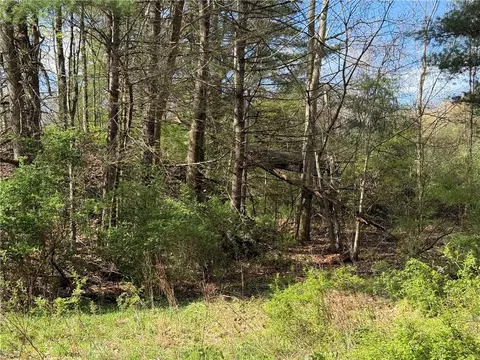 9155 Smith Rd, Lindley, NY 14858 photo 16