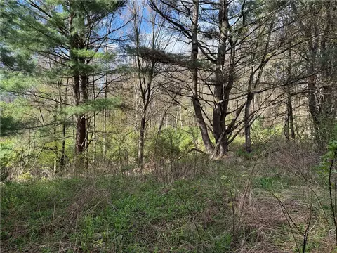 9155 Smith Rd, Lindley, NY 14858 photo 6