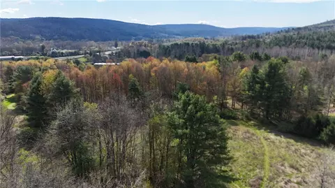 9155 Smith Rd, Lindley, NY 14858 photo 24