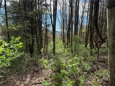9155 Smith Rd, Lindley, NY 14858 photo 19
