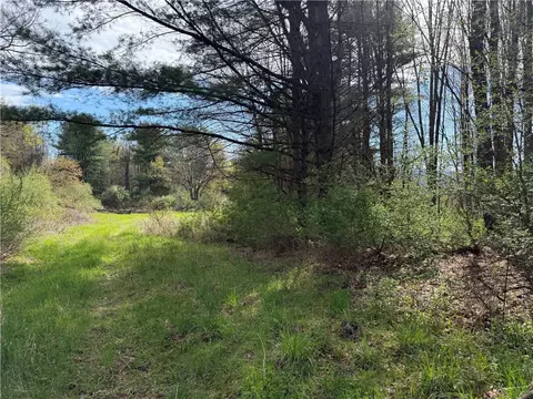9155 Smith Rd, Lindley, NY 14858 photo 18