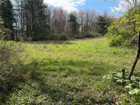 9155 Smith Rd, Lindley, NY 14858 photo 15