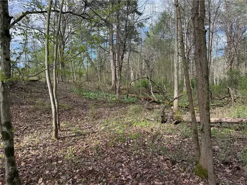 9155 Smith Rd, Lindley, NY 14858 photo 12
