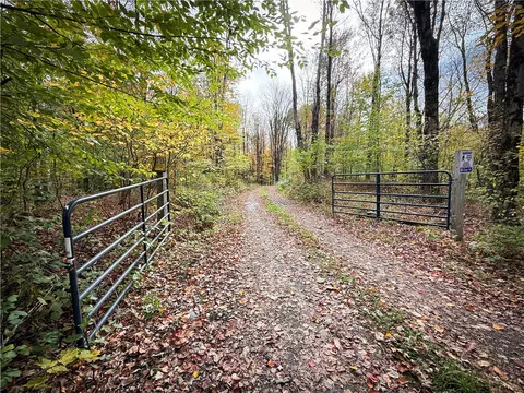 0 Trout Brook Dr, Orwell, NY 13144