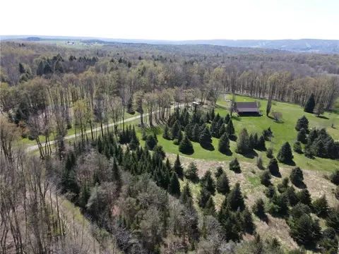 9467 Reagan Rd, French Creek, NY 14724