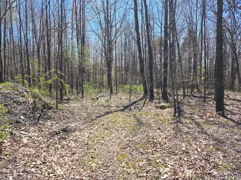 0 Dunn Rd, Catlin, NY 14869