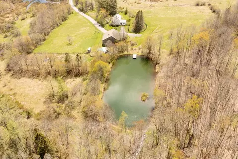 View/Area - 195 Oscar Dougherty Rd, Roxbury, NY 12459 photo 4 of 7