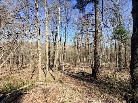 Fitzgerald Road, Hector, NY 14818 photo 4
