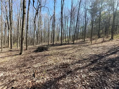 Fitzgerald Road, Hector, NY 14818 photo 2