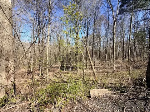 Fitzgerald Road, Hector, NY 14818 photo 3