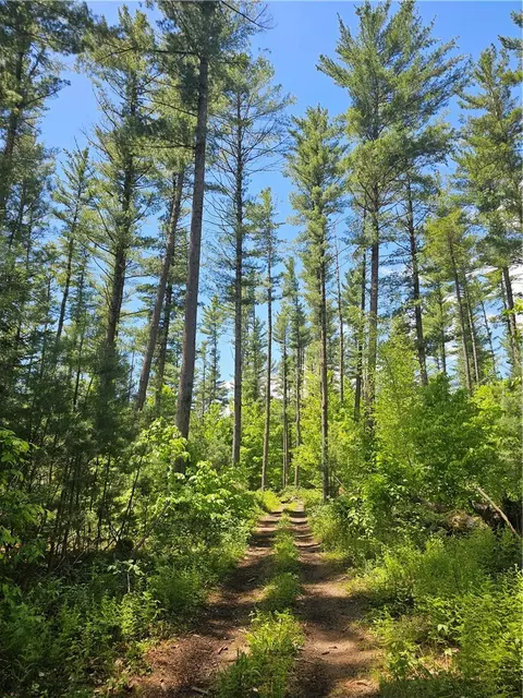 0 Adams Hill Rd, New Bremen, NY 13327