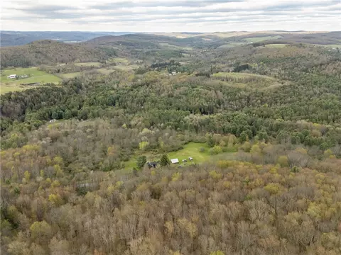 View/Area - 183 Guy Beardsley Rd, Butternuts, NY 13825 photo 2 of 2