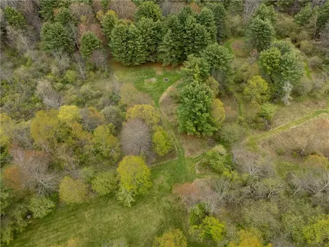 View/Area - 183 Guy Beardsley Rd, Butternuts, NY 13825 photo 1 of 2