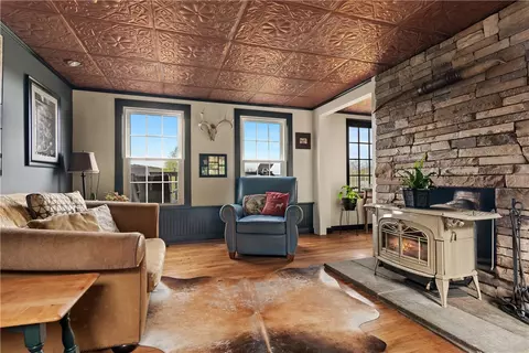 Living - 183 Guy Beardsley Rd, Butternuts, NY 13825 photo 4 of 4