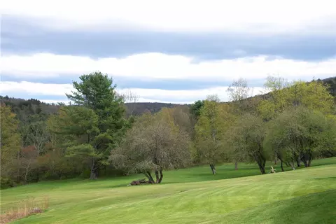 Exterior - 183 Guy Beardsley Rd, Butternuts, NY 13825 photo 6 of 7