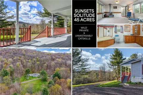1264 Betty Brook Rd, Kortright, NY 13842