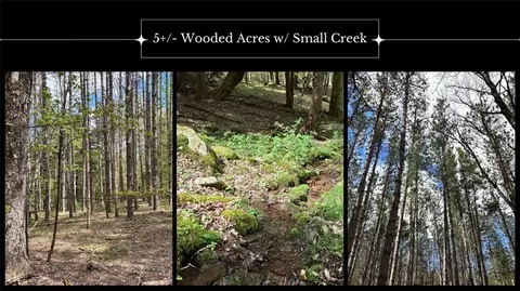 lot16 Putnam Rd, Kortright, NY 13750