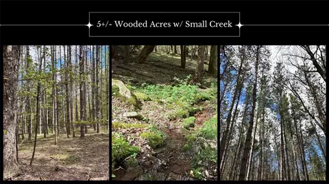 lot16 Putnam Rd, Kortright, NY 13750