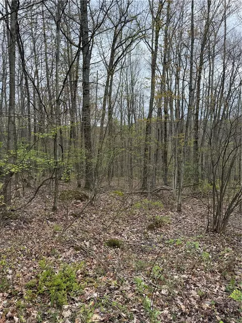 10513 Hilltop Dr, Erwin, NY 14830