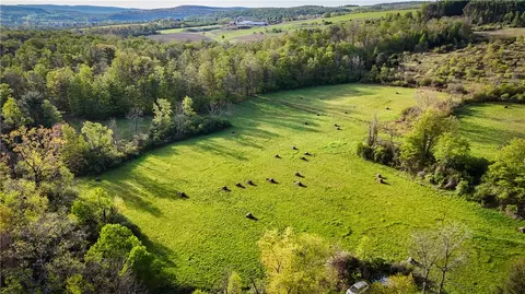 Other - Rt-414, Dix, NY 14891 photo 5 of 17