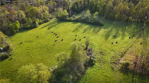 View/Area - Rt-414, Dix, NY 14891 photo 15 of 22