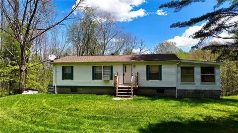 480 Buckley Hill Rd, Coventry, NY 13730