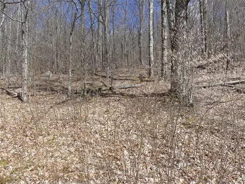 lot11 2 Alpine Dr, Bovina, NY 13731