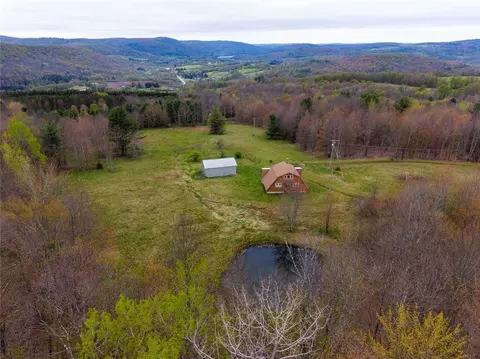 806 Sunset Trl, Franklin, NY 13775