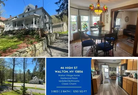 46 High St, Walton, NY 13856