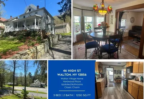 46 High St, Walton, NY 13856