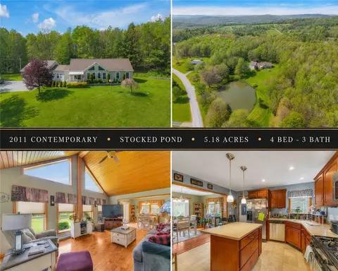 158 Brandon Brooks Rd, Unadilla, NY 13849