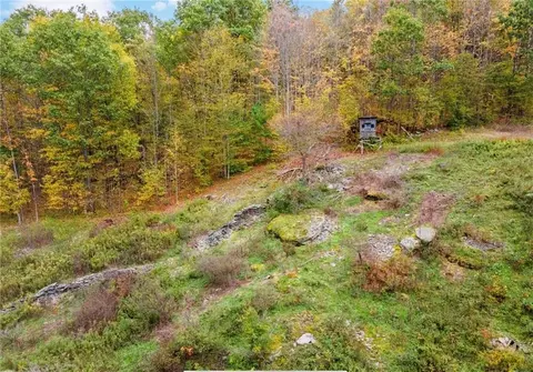 Other - 734 Post Rd, Franklin, NY 13775 photo 7 of 7