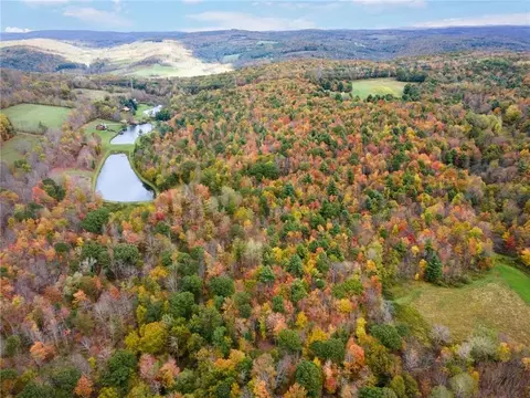 View/Area - 734 Post Rd, Franklin, NY 13775 photo 5 of 6