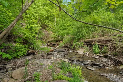 Other - 6929 E Swamp Rd, Conesus, NY 14435 photo 6 of 8