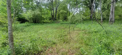 Mary Lynne Lane, Guilford, NY 13780