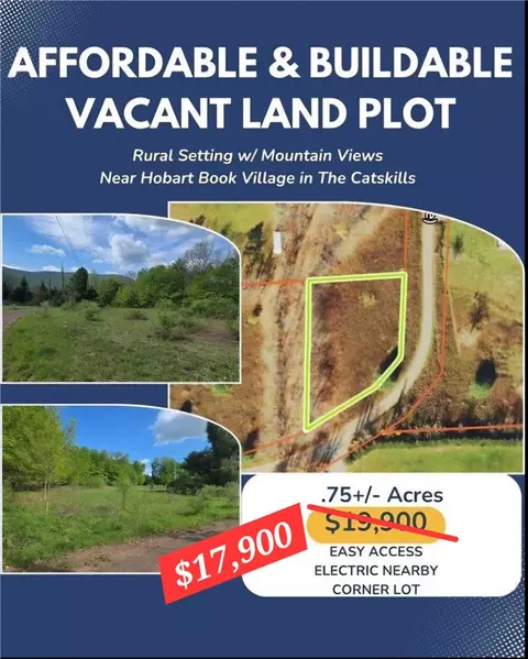 Adams Hill Road, Stamford, NY 12167