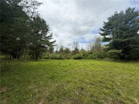 Caswell Road, Dryden, NY 13068