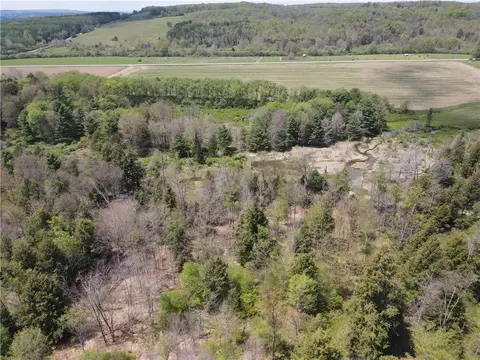lot2 County Road 16, Grove, NY 14884