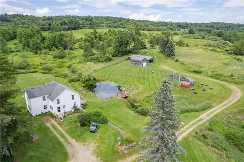 2690 Freer Hollow Rd, Franklin, NY 13755