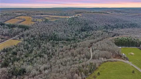 Vl Lot 1 Dry Run Road, Hornby, NY 14812