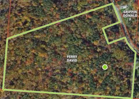 00 Straw Hill Rd, Barton, NY 13734